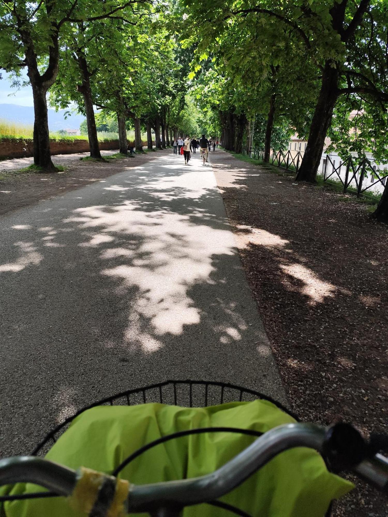 Casa Rosina + Box Per Auto 2 Bici 1,5Km Dalle Mura Лукка Экстерьер фото